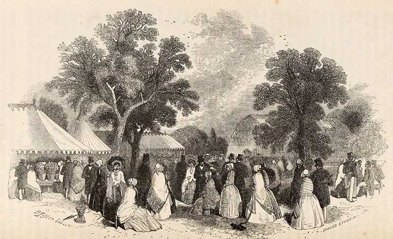Crowds at the Chiswick Flower Show, 1848